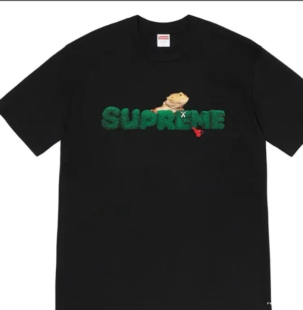 White Lizard M Environmental sleeved L XL Plant S Short Tee T-shirt Green Logo 20SS Black 0521